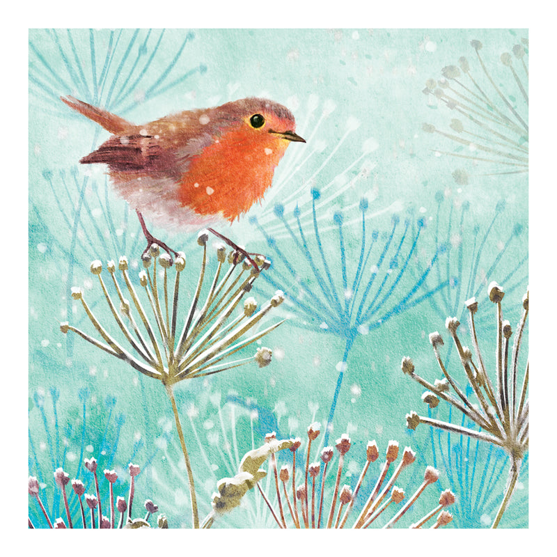Winter Robin - RSPB Small Square Christmas 10 Card Pack