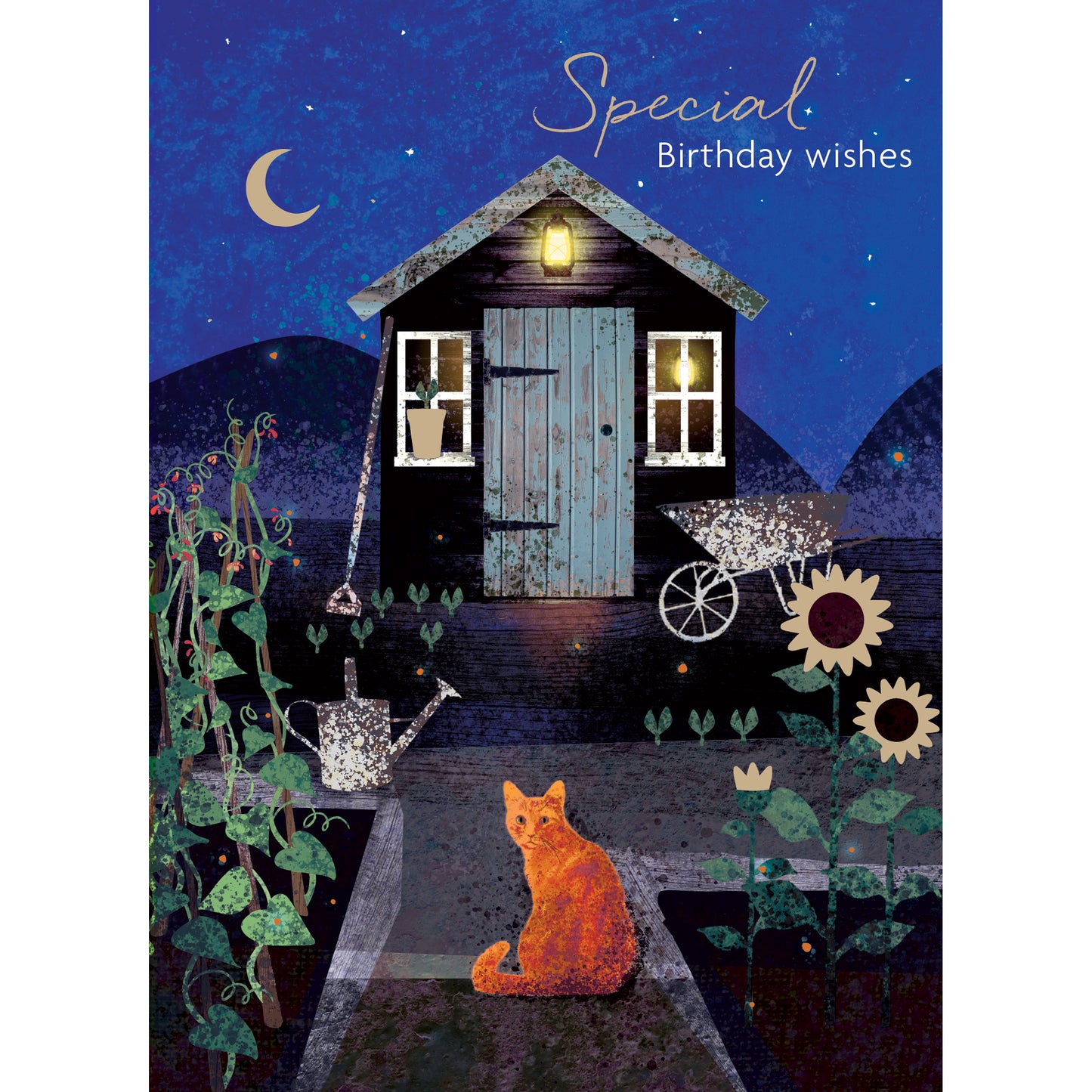 Midnight Wishes Card Collection - Cat & Shed