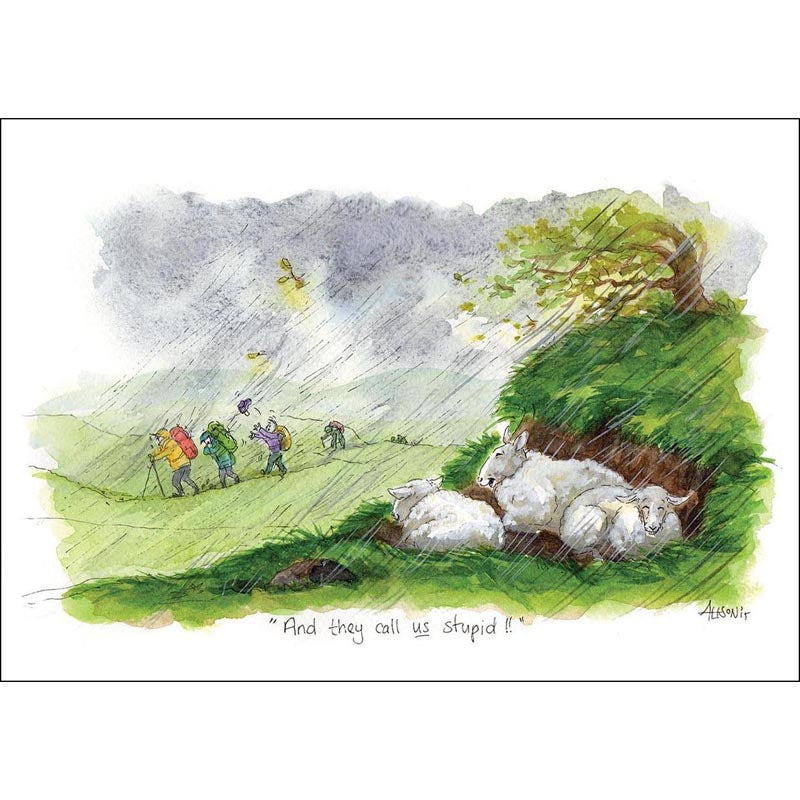 Alison's Animals Card - And They Call Us stupid!