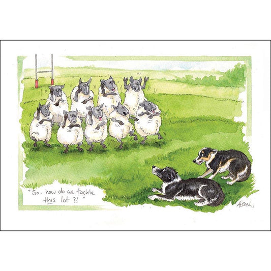 Alison's Animals Card - How Do We Tackle This Lot?
