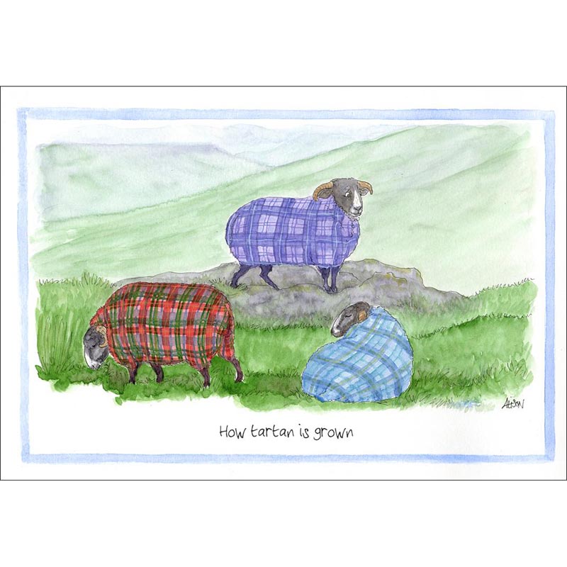Alison's Animals Card - How Tartan Is Grown