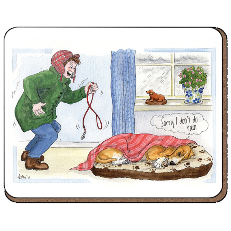 Fridge Magnet - Alison's Animals - Sorry I don't do rain