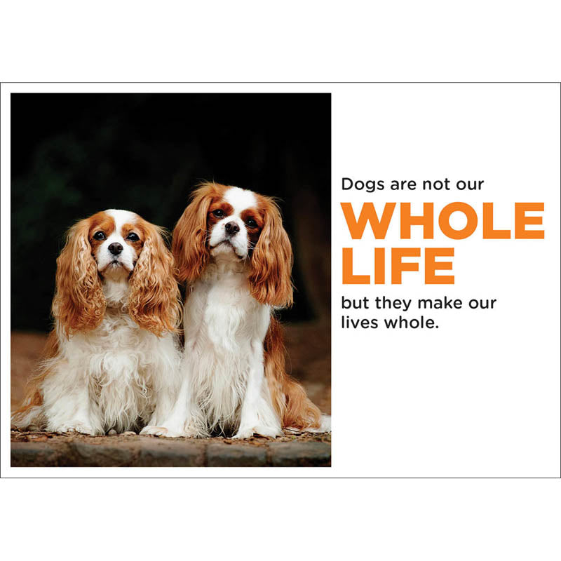 Barking at the Moon Card - Dogs are not our whole life (Splimple)
