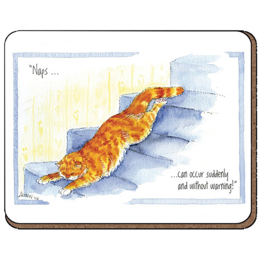 Coaster - Alison's Animals - Naps can occur