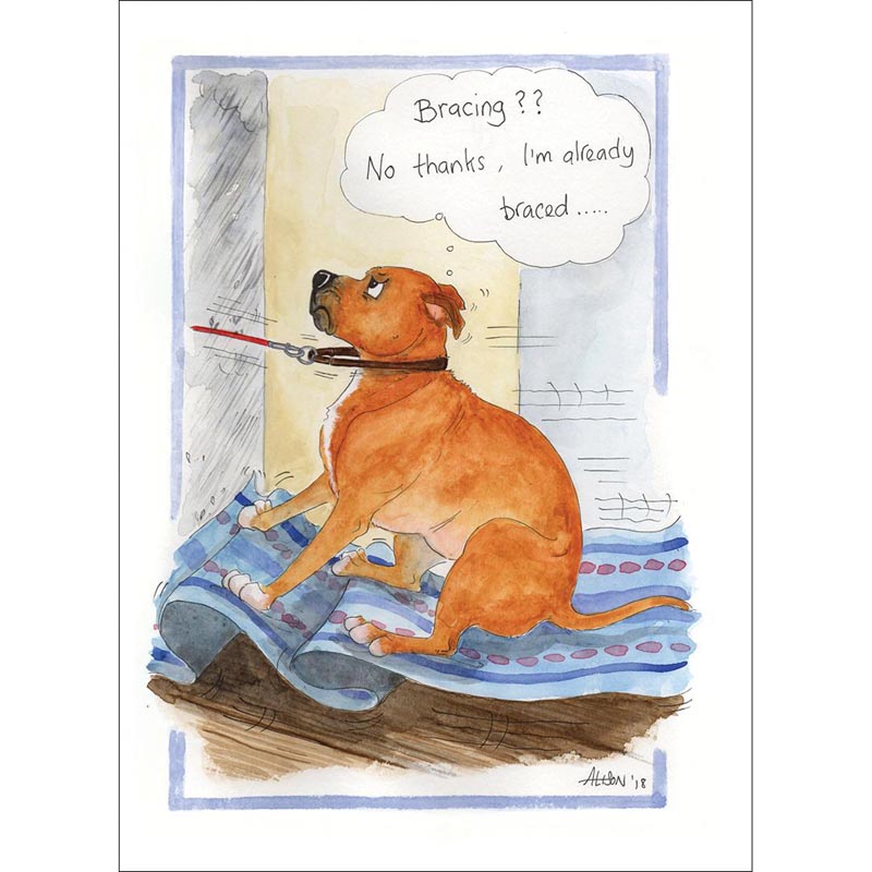 Alison's Animals Card - Bracing? No Thanks!