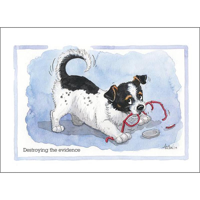 Alison's Animals Card - Destroying The Evidence