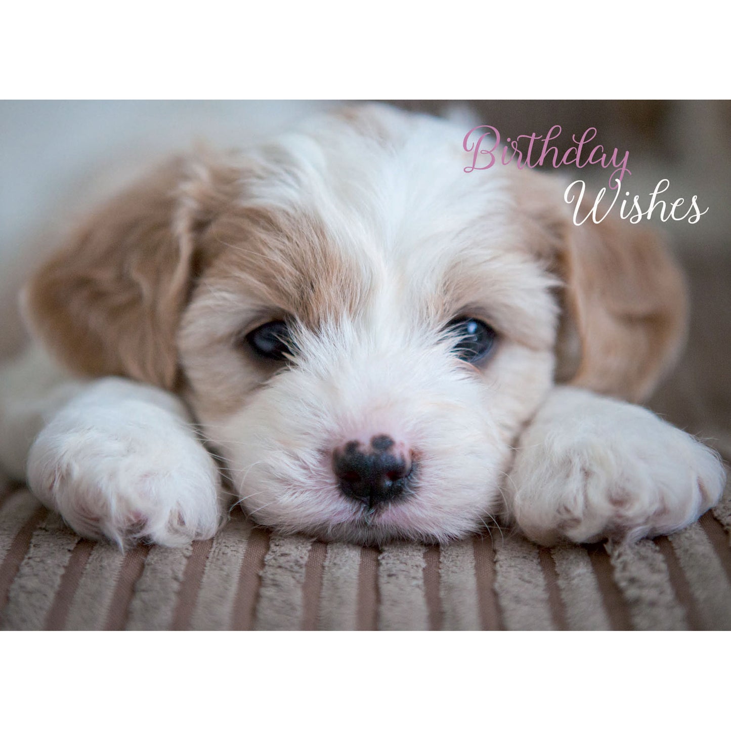 Animal Birthday Card - Cute Pup