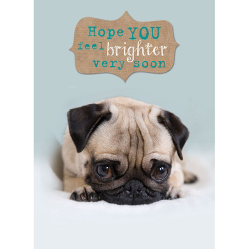 Get Well Soon Card - Cute Pug