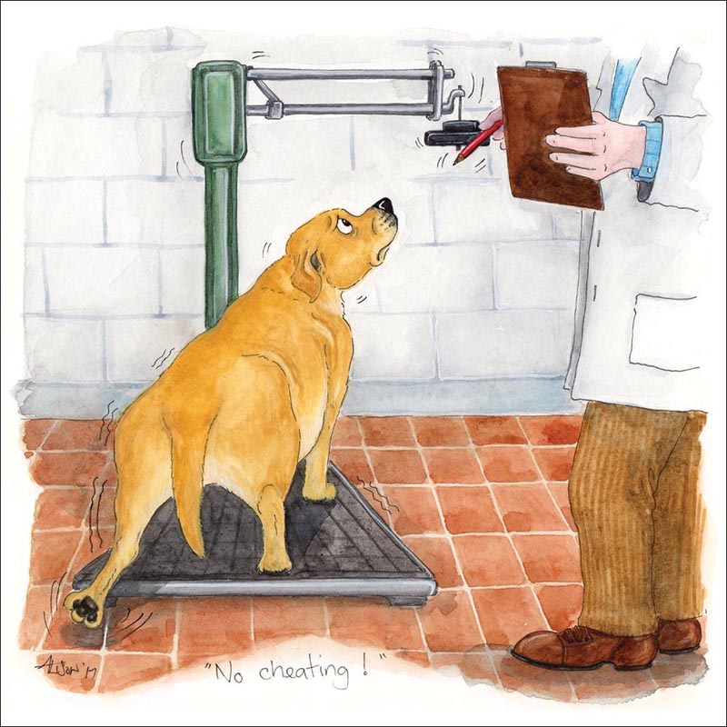 Herriot Card - No cheating! (Splimple)