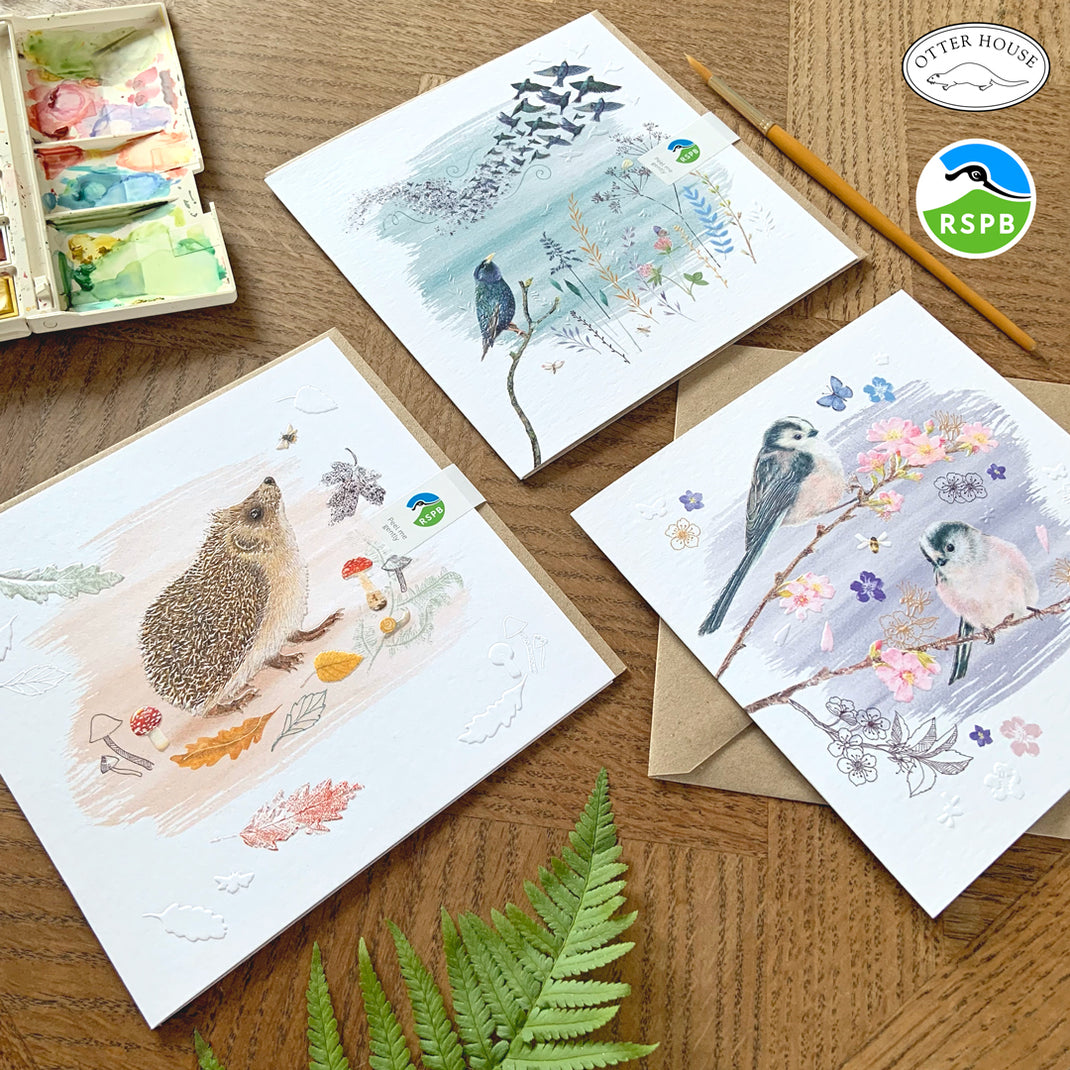 Will George Rspb RSPB Collection – Otter House
