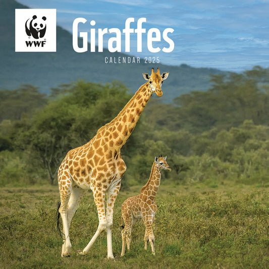 Wwf Giraffes Wall Calendar 2025 (PFP)