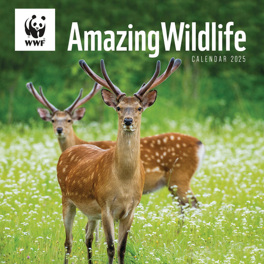 Wwf Amazing Wildlife Wall Calendar 2025 (PFP)