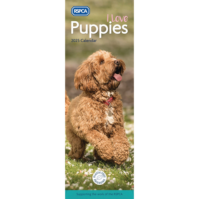 RSPCA I Love Puppies Slim Calendar 2025 (PFP)