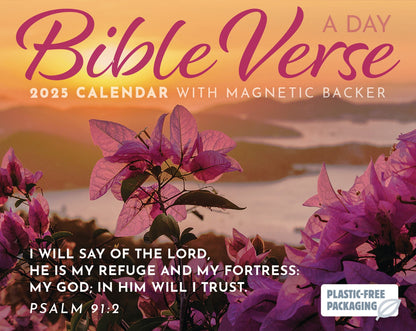 Bible Verse A Day Mini Boxed Calendar 2025 (PFP)