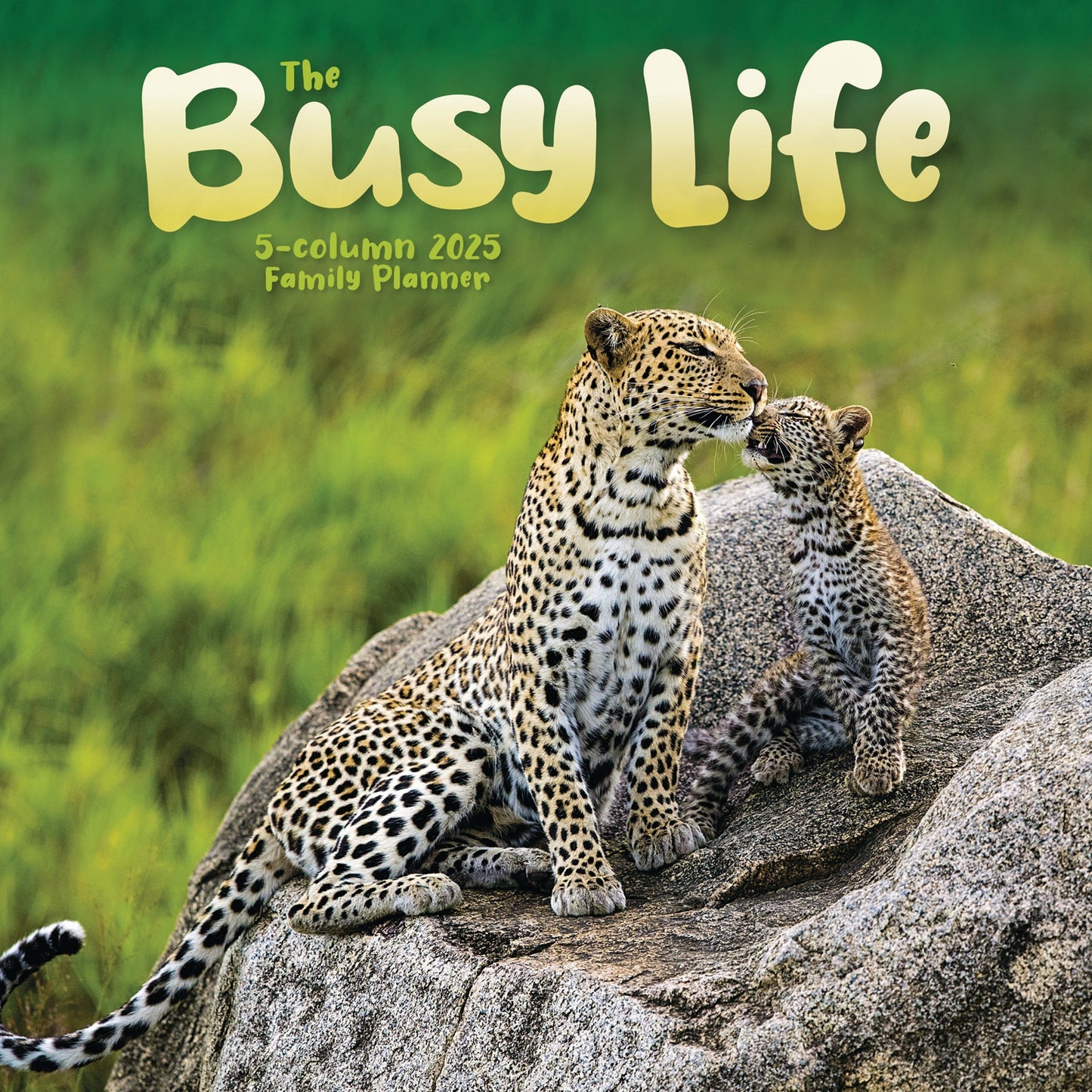 Busy Life Wall Planner 2025 (PFP)