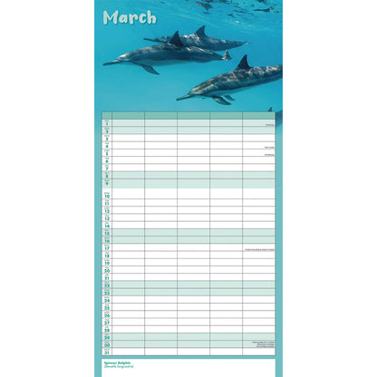 Busy Life Wall Planner 2025 (PFP)