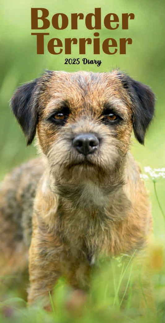 Border Terriers Slim Diary 2025 (PFP)