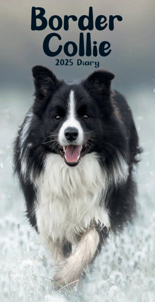 Border Collies Slim Diary 2025 (PFP)