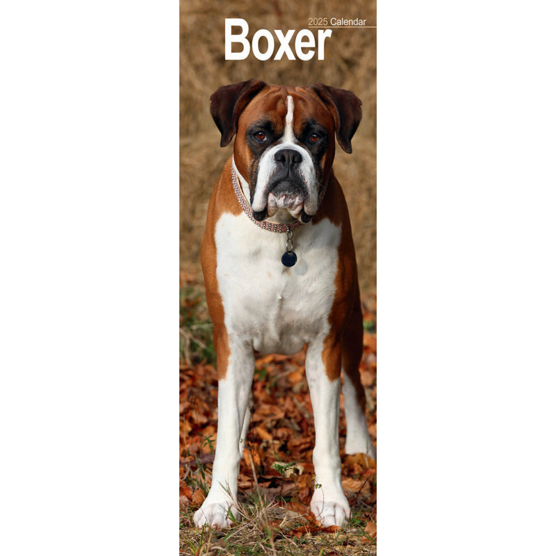 Boxer Slim Calendar 2025 (PFP)