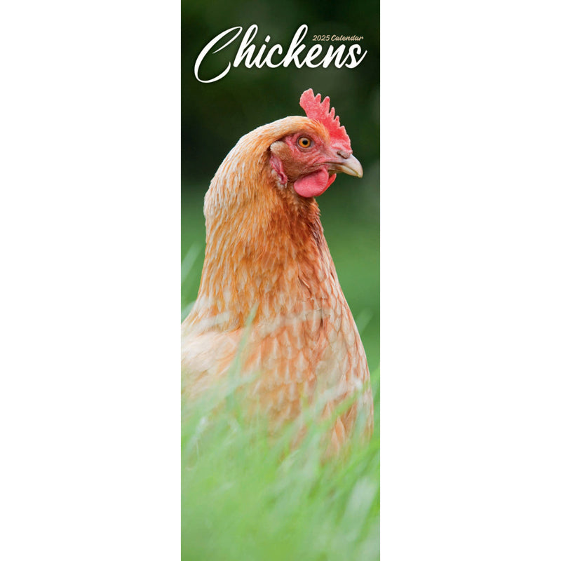 Chickens Slim Calendar 2025 (PFP) Otter House