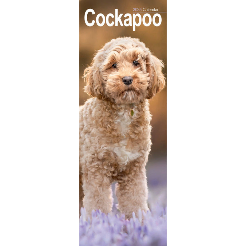 Cockapoo Slim Calendar 2025 (PFP) Otter House