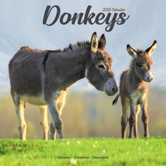 Donkeys Wall Calendar 2025