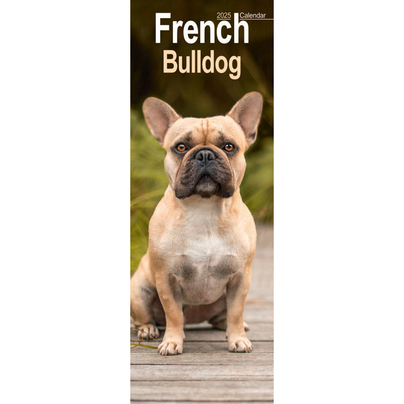 French Bulldog Slim Calendar 2025 (PFP) Otter House