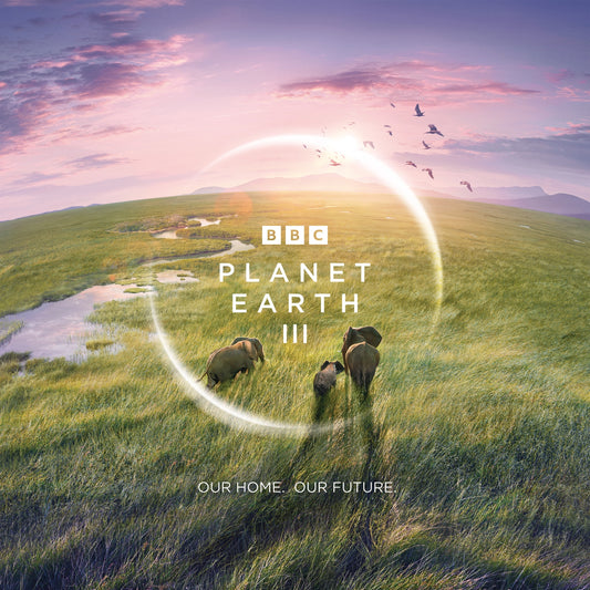 BBC Earth Wall Calendar 2025 (PFP)