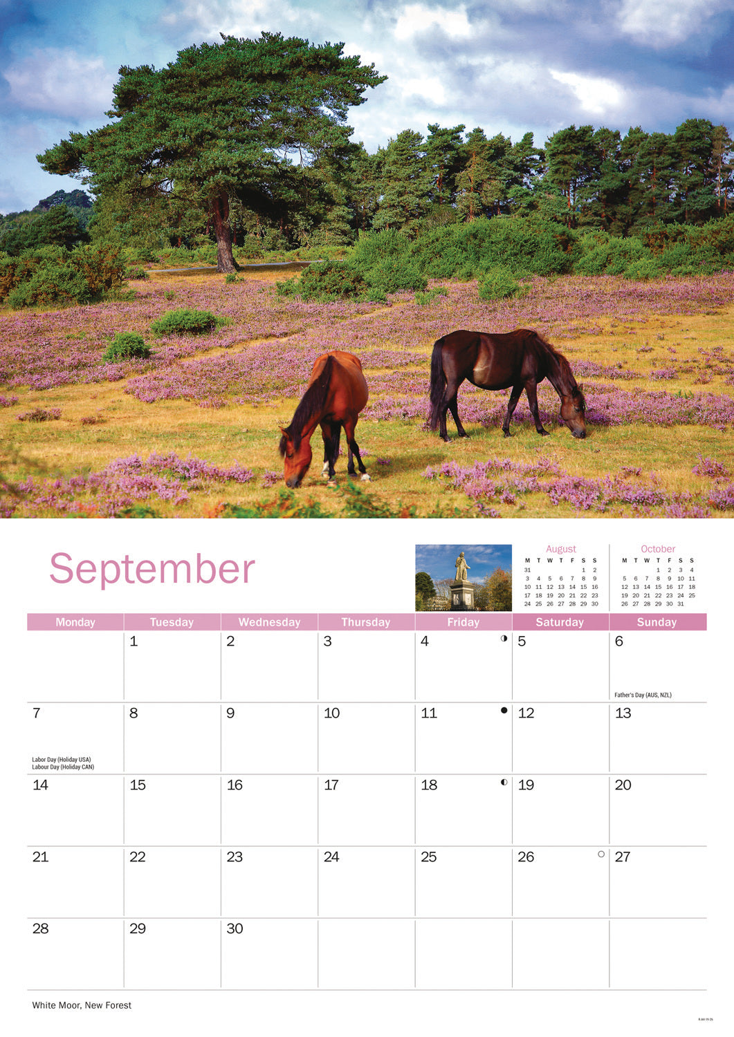 Hampshire A4 Calendar 2026