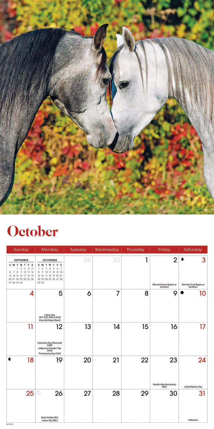 Horses Mini Calendar 2026