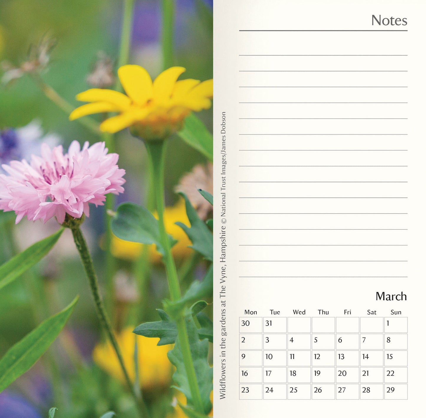 National Trust Slim Dlx Diary 2026