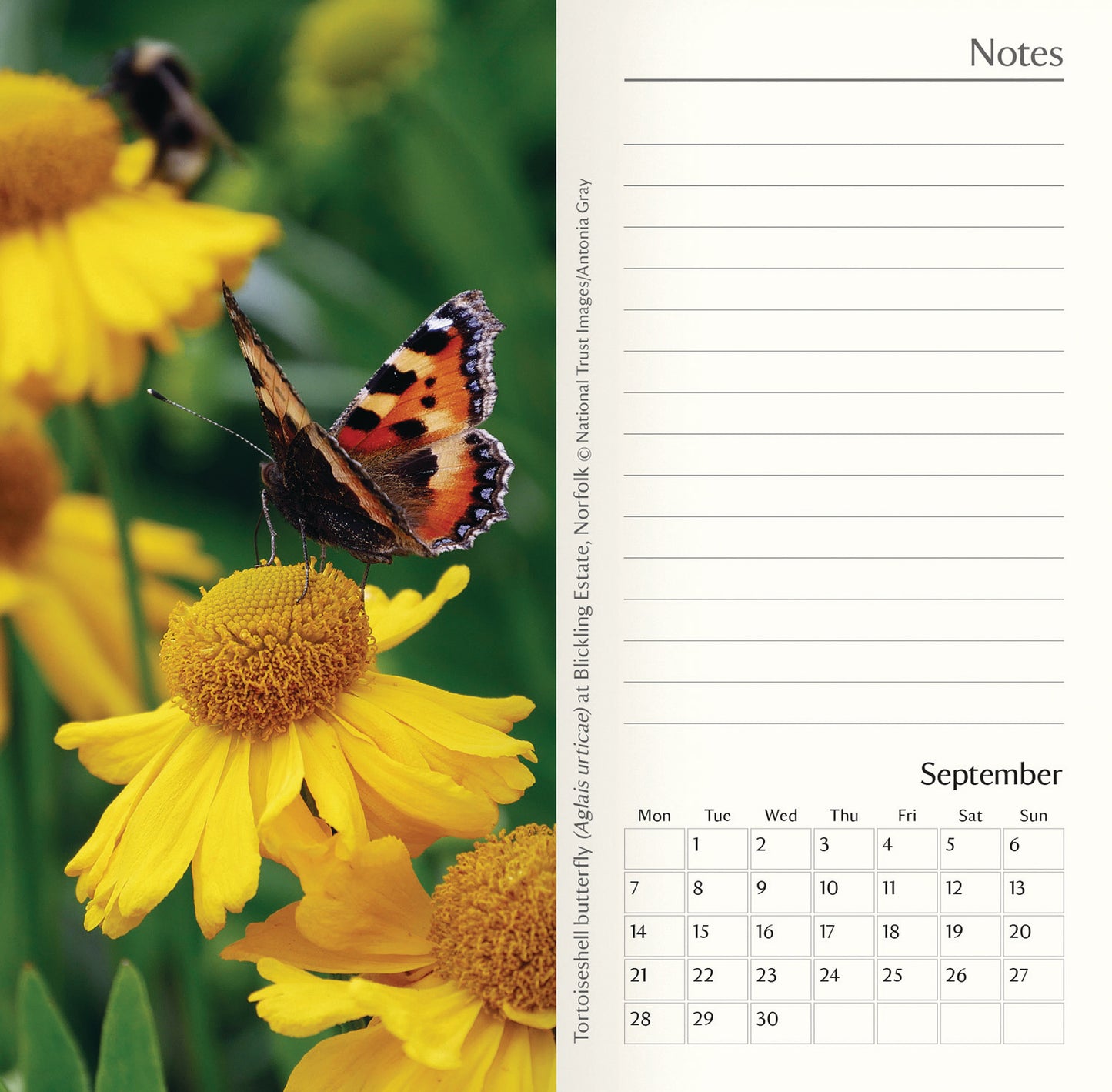 National Trust Slim Dlx Diary 2026