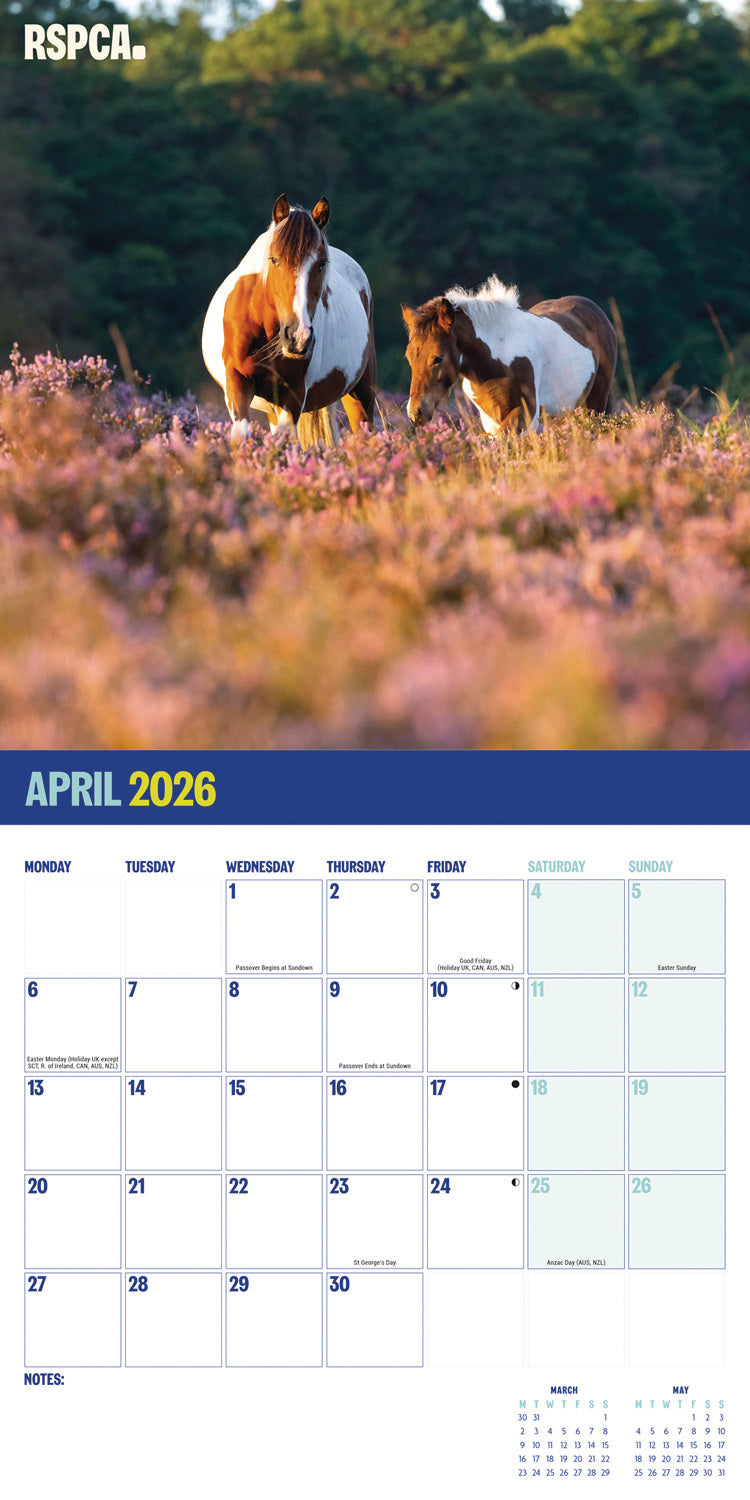 RSPCA British Horses & Ponies Wall Calendar 2026