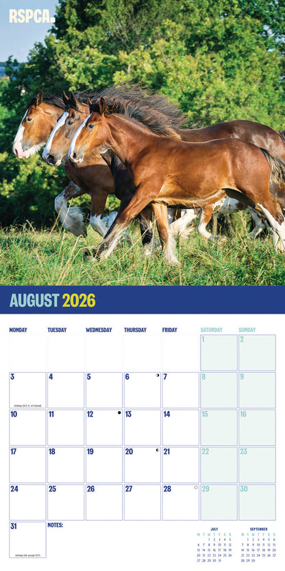 RSPCA British Horses & Ponies Wall Calendar 2026
