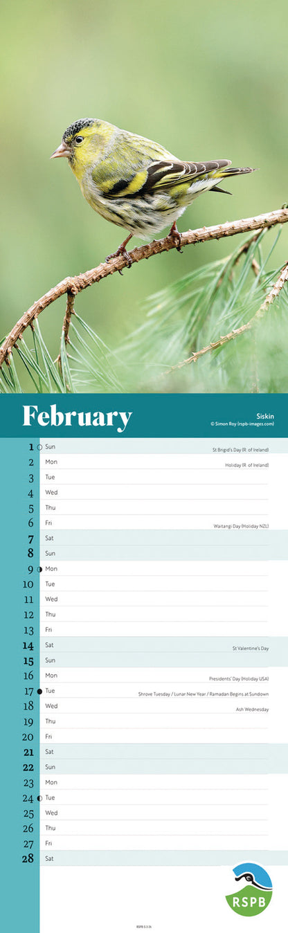 RSPB Birds Slim Calendar 2026