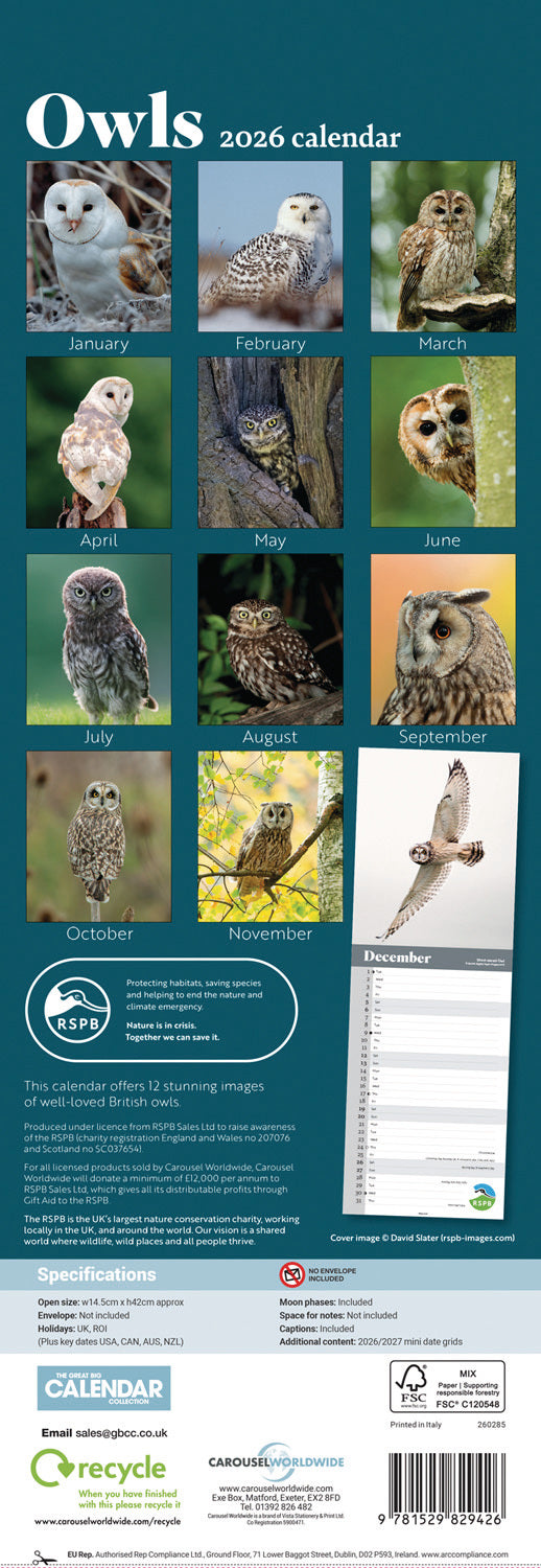 RSPB Owls Slim Calendar 2026
