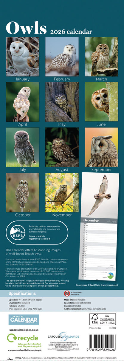 RSPB Owls Slim Calendar 2026