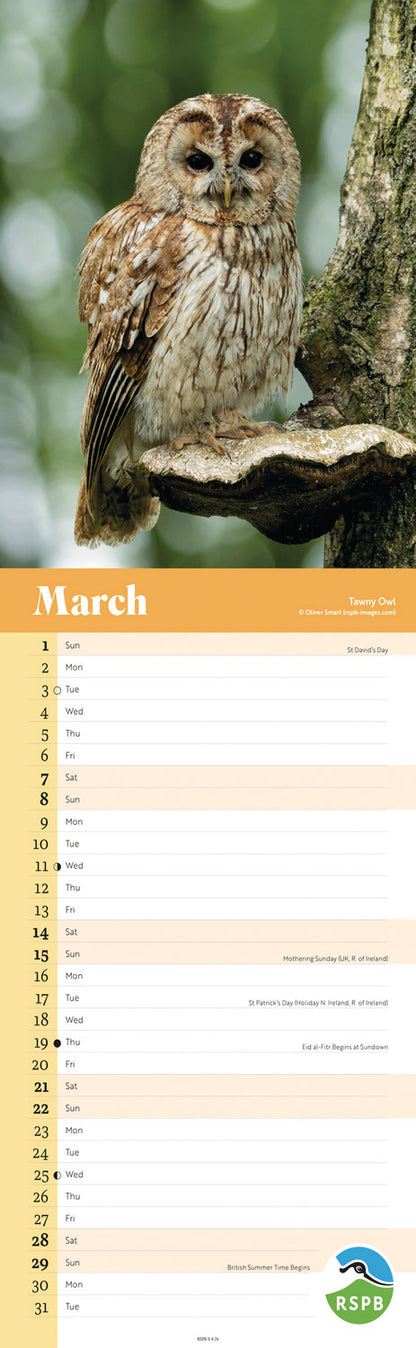 RSPB Owls Slim Calendar 2026