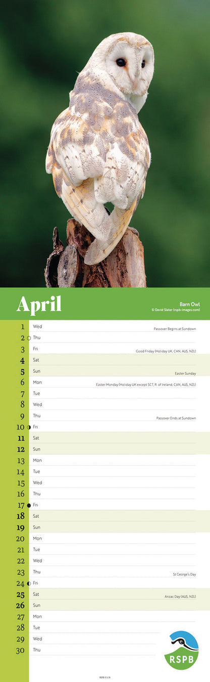 RSPB Owls Slim Calendar 2026