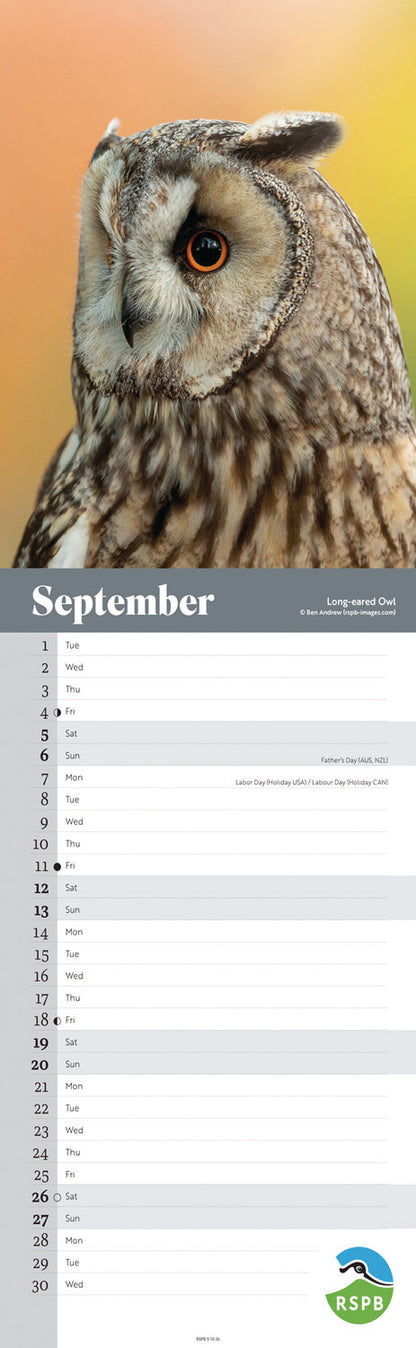 RSPB Owls Slim Calendar 2026