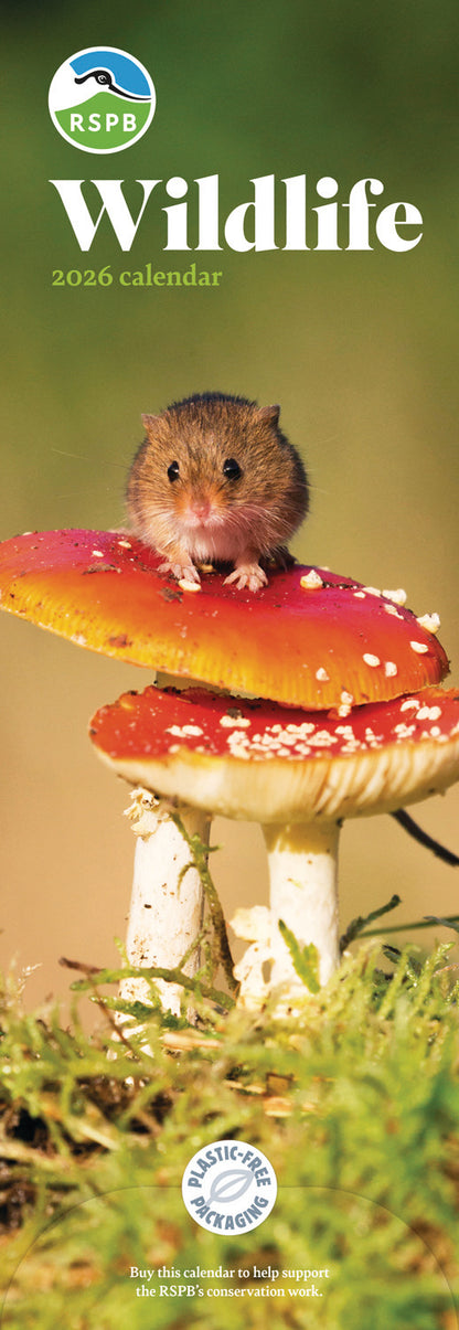 RSPB Wildlife Slim Calendar 2026