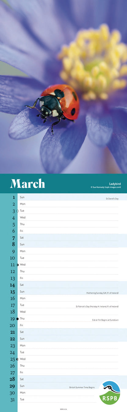 RSPB Wildlife Slim Calendar 2026