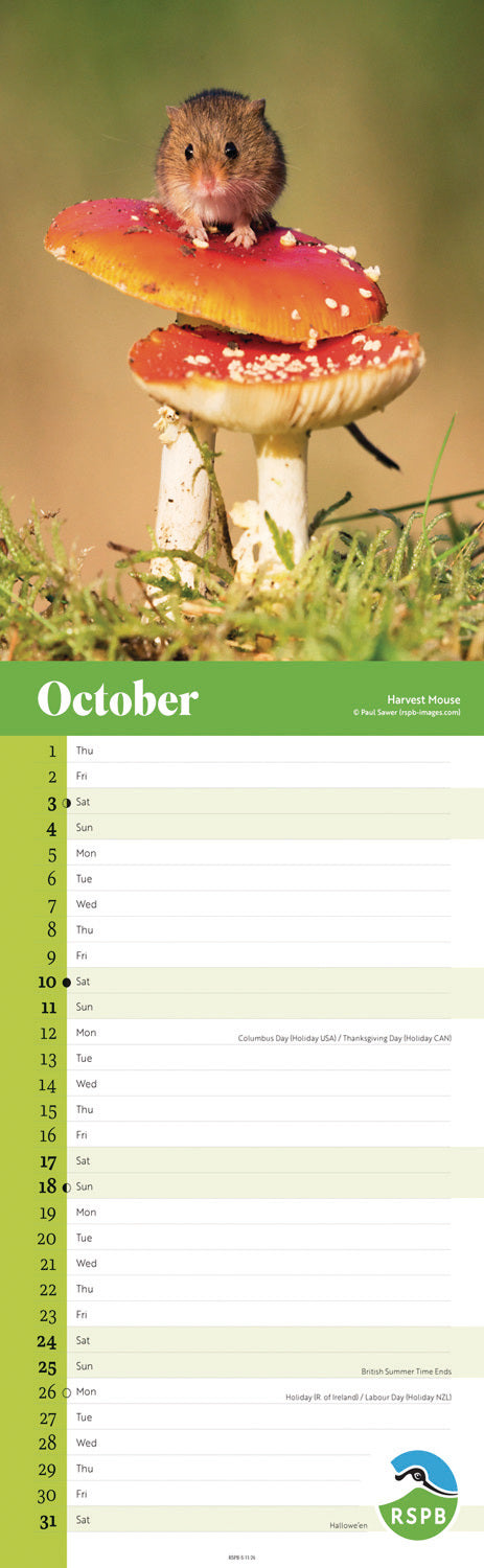 RSPB Wildlife Slim Calendar 2026