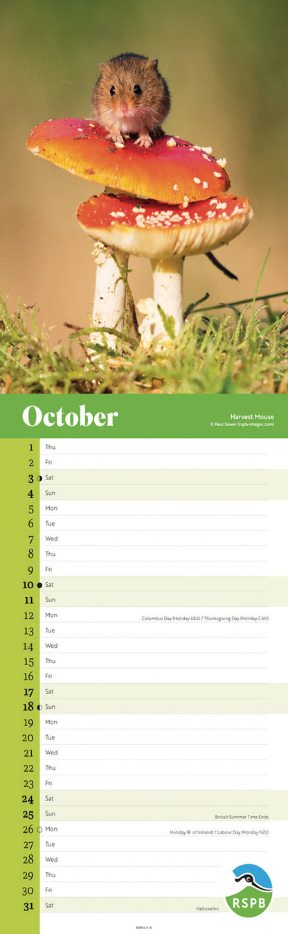 RSPB Wildlife Slim Calendar 2026