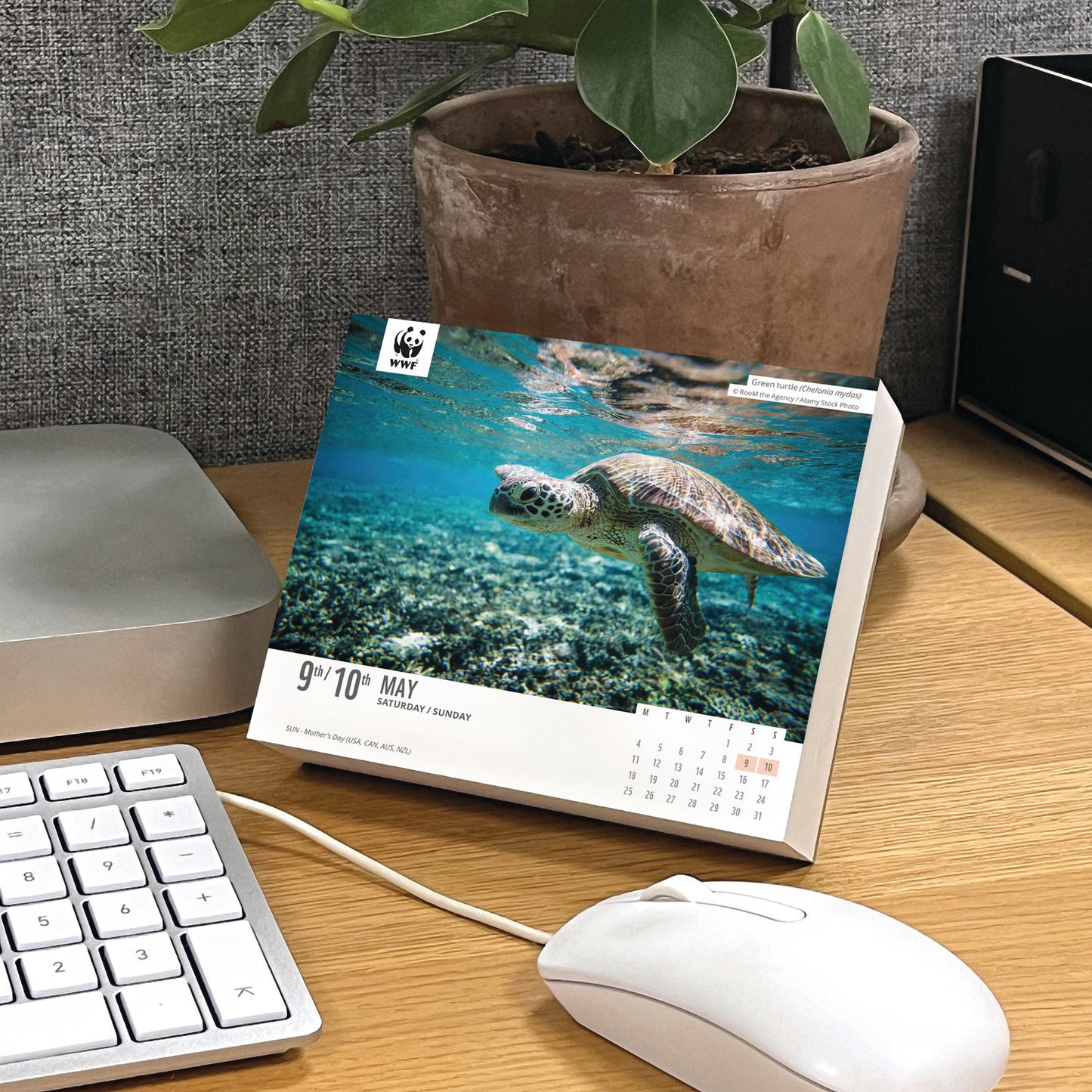 WWF Natural World, Box Calendar 2026