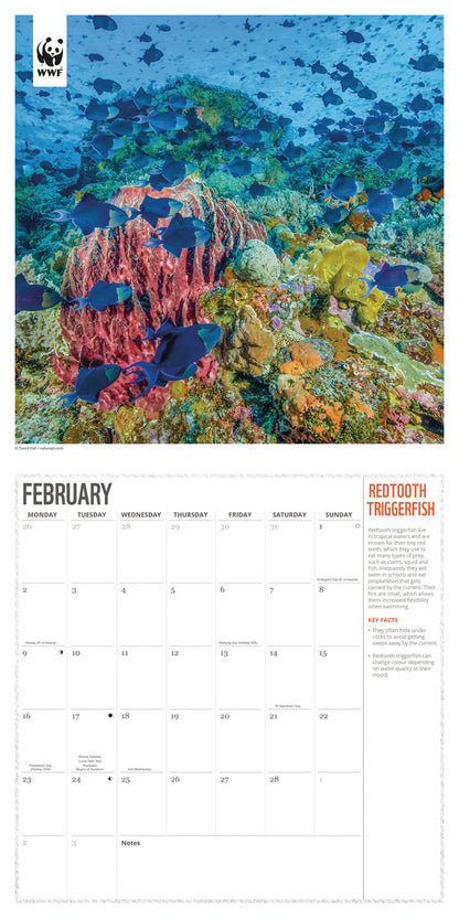 WWF Oceans Wall Calendar 2026