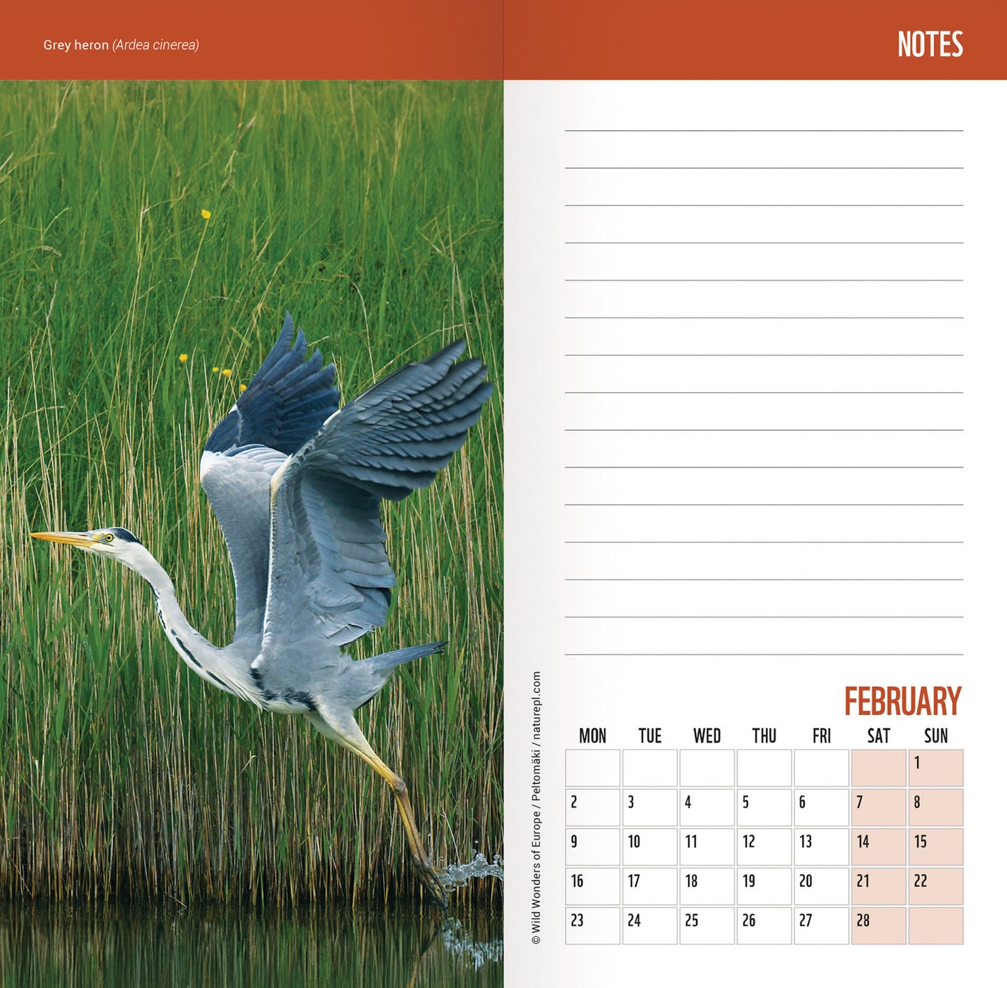 WWF Wild & Free Slim Dlx Diary 2026