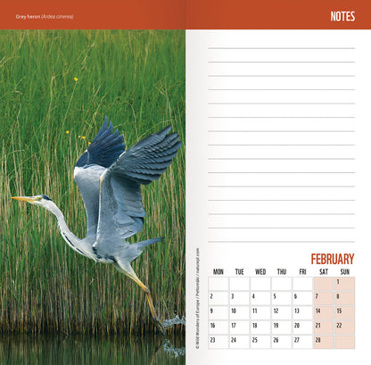 WWF Wild & Free Slim Dlx Diary 2026
