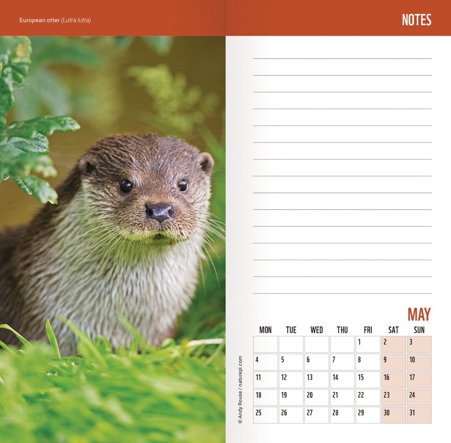 WWF Wild & Free Slim Dlx Diary 2026
