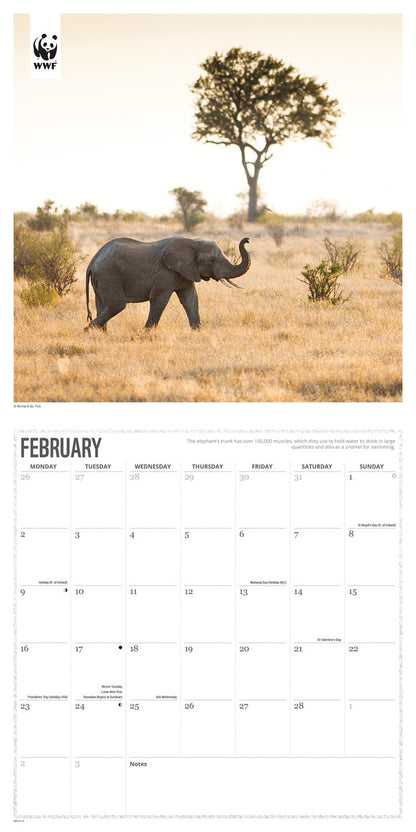 WWF, Elephants Wall Calendar 2026